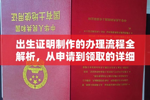 锦江出生证明制作的办理流程全解析，从申请到领取的详细指南
