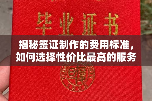 额敏揭秘签证制作的费用标准，如何选择性价比最高的服务？
